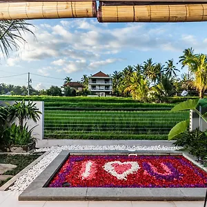 Putih Dcarik *** Ubud